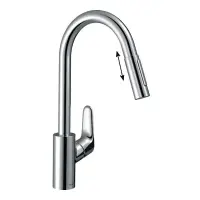 Смеситель для кухонной мойки Hansgrohe Focus 73880000