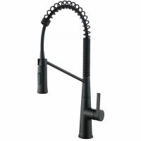 Смеситель для кухни Azario Spring цвет: черный AZ-VGT569183PA