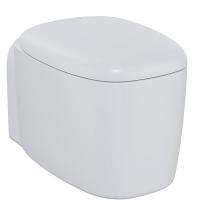 Унитаз подвесной безободковый VitrA Plural Rim-Ex 7830B401-0075