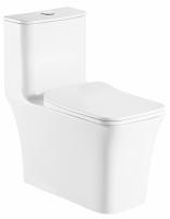 Унитаз напольный Azario Gressa AZ-1111-G