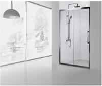 Душевая дверь Aquanet 160 см 183846