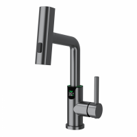 Смеситель для раковины Black&White SD3028GM