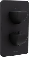 Смеситель для ванны Allen Brau Infinity 5.21216-31 черный матовый