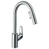 Смеситель для кухонной мойки Hansgrohe Focus 73895000
