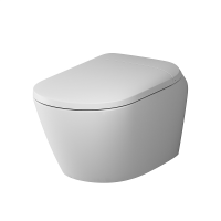 Унитаз подвесной AM.PM Sensation CCC301700SC