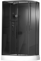 Душевая кабина Timo Premium ILMA-902 L B 120x80 см
