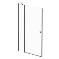 Душевая дверь AM.PM Sunny 120x190 см W87G-120-1P-BT
