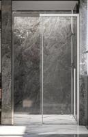 Душевая дверь Veconi Premium Trento PTD-30CH  PTD30-CH-120-01-C4, профиль хром