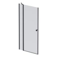 Душевая дверь AM.PM Sunny 100x190 см W87G-100-1P-BT