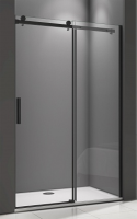 Душевая дверь Good Door Galaxy WTW-110-C-B 110 см ГЛ00013