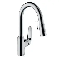 Смеситель для кухонной мойки Hansgrohe Focus 71862000