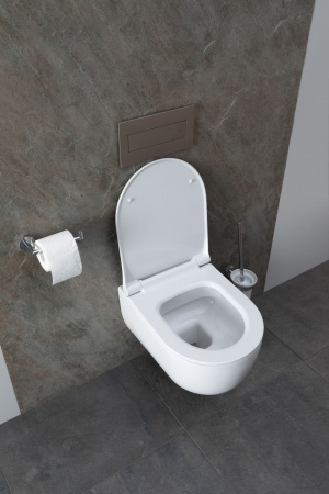 Фото унитаз с инсталляцией allen brau priority 00316509
