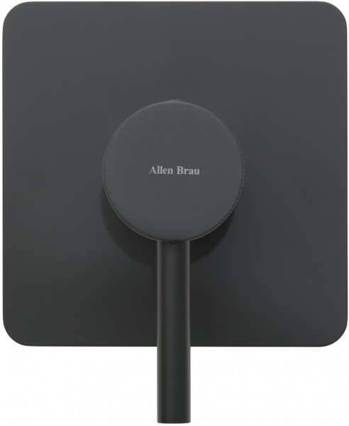Фото встраиваемый смеситель для душа allen brau priority x1 5.31012-31
