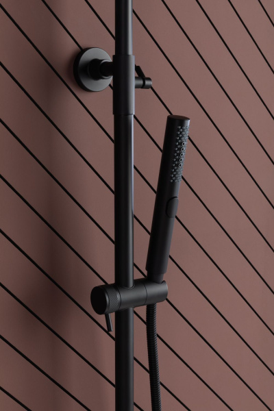 Фото душевая стойка allen brau priority 5.31a10-31gb черный/золото