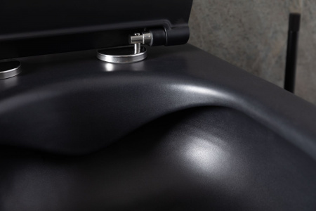 Фото унитаз подвесной allen brau reality 4.32006.31