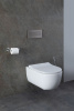 Фото унитаз с инсталляцией allen brau priority 00316508
