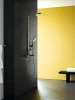 Фото душевая стойка hansgrohe raindance e 27112400