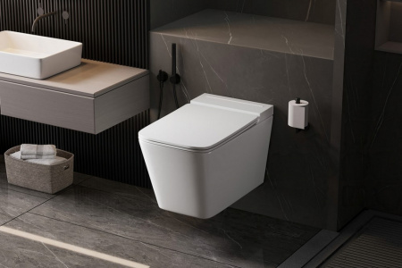 Фото унитаз с инсталляцией abber rechteck ac1202p-ac0101p