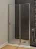 Душевая дверь Allen Brau Priority 100 3.31005.BA