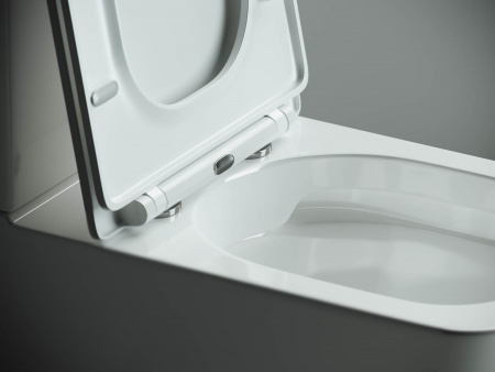 Фото унитаз-компакт, безободковый без бачка ceramicanova cubic cn1803-b