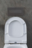Фото унитаз с инсталляцией allen brau priority 00316508