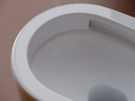 Фото унитаз подвесной, безободковый ceramicanova up cn4007