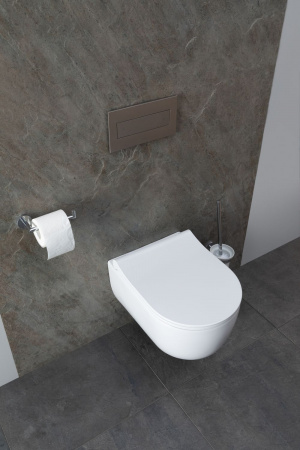 Фото унитаз с инсталляцией allen brau priority 00316509