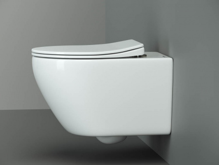 Фото унитаз подвесной, безободковый ceramicanova peal cn8001