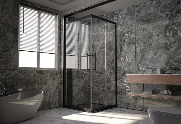 Фото душевая дверь veconi premium trento ptc-20b  ptc20-b-100-01-c4, профиль черный