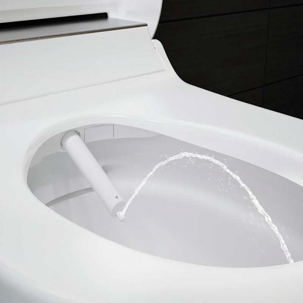 Фото унитаз подвесной geberit aquaclean mera comfort 55 см 146.294.si.1