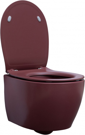 Фото унитаз подвесной allen brau fantasy 4.11004.bd