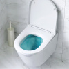 Фото унитаз с инсталляцией am.pm sense is90151.741701