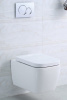 Фото унитаз подвесной belbagno veneto 50 см bb132ch