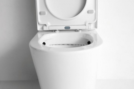 Фото унитаз напольный ceramalux ns-2178