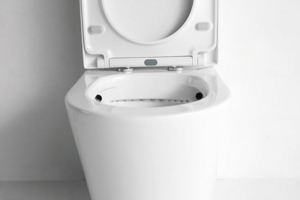 Фото унитаз напольный ceramalux ns-2178