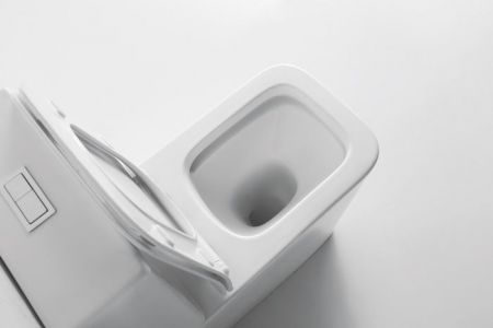 Фото унитаз напольный ceramalux ns-2170