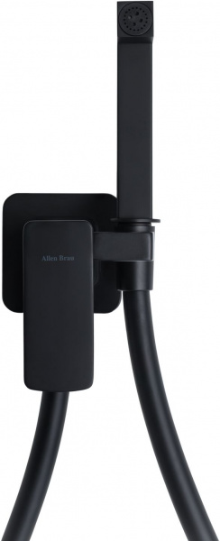 Фото смеситель с гигиеническим душем allen brau infinity 5.21005-31