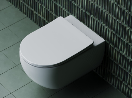 Фото унитаз подвесной, безободковый ceramicanova long cn3015