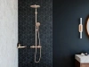 Фото душевая стойка hansgrohe raindance select s 27633140