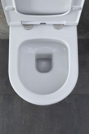 Фото унитаз с инсталляцией allen brau priority 00316509
