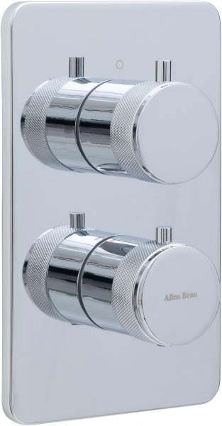 Фото душевой комплект allen brau priority 5.31113-00.set1 (с внутренней частью. 1 выход) хром