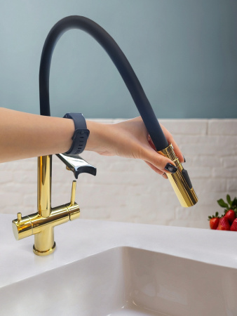 Фото смеситель для кухни с гибким изливом altrobagno flusso 050205 gl