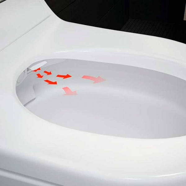 Фото унитаз подвесной geberit aquaclean mera comfort 55 см 146.294.si.1