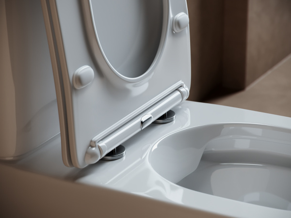 Фото унитаз-компакт, безободковый без бачка ceramicanova fortuna cn9001-b
