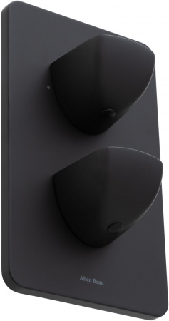Фото смеситель для ванны allen brau infinity 5.21216-31 черный матовый