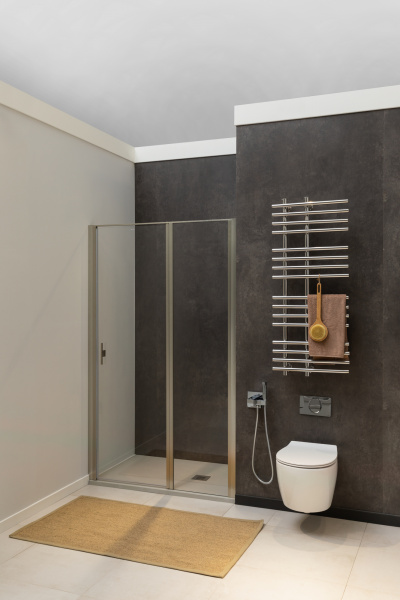 Фото душевая дверь allen brau priority 120 3.31008.ba