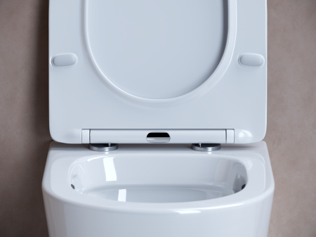 Фото унитаз подвесной, безободковый ceramicanova balearica cn6000