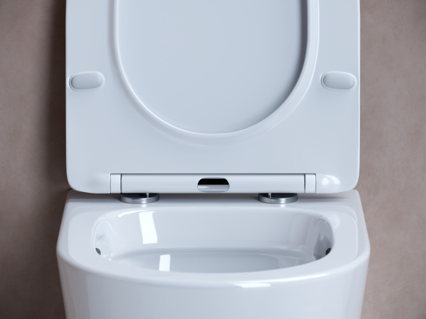 Фото унитаз подвесной, безободковый ceramicanova balearica cn6000