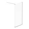 Душевая стенка AM.PM Func 100x200 см W84WI-100-F1-MTE