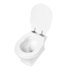 Фото унитаз подвесной belbagno boheme bb115ch